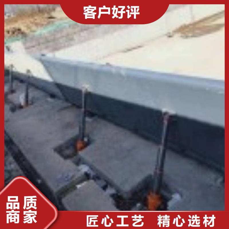  翻板闸门真材实料