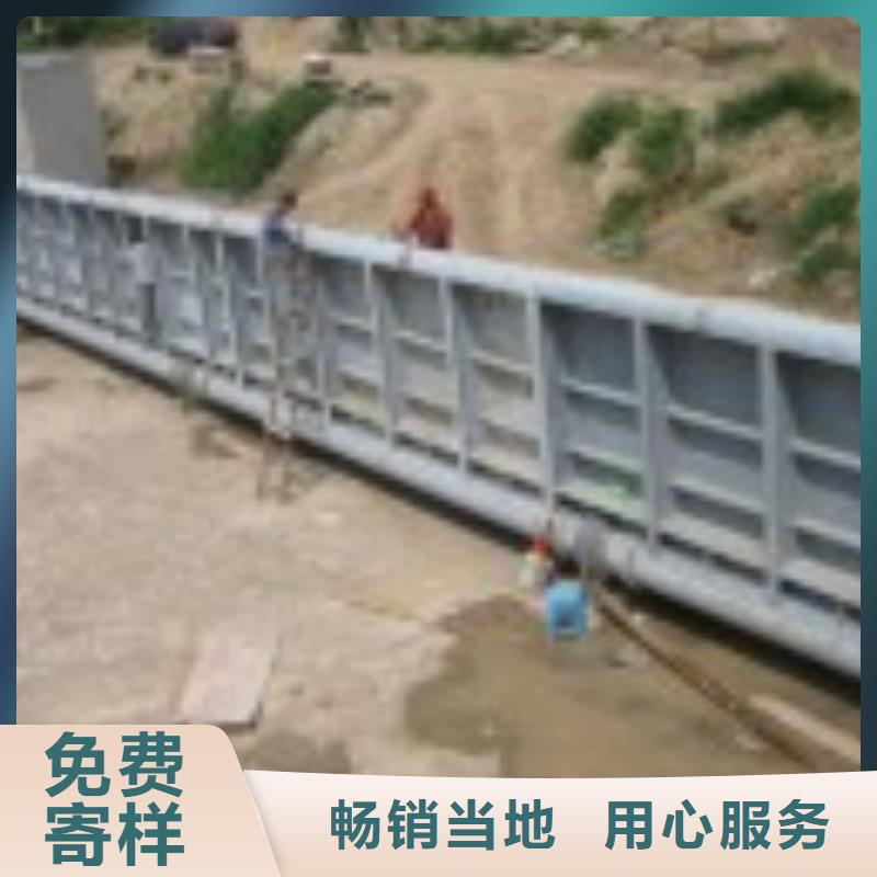 定輪鋼制閘門質優價廉