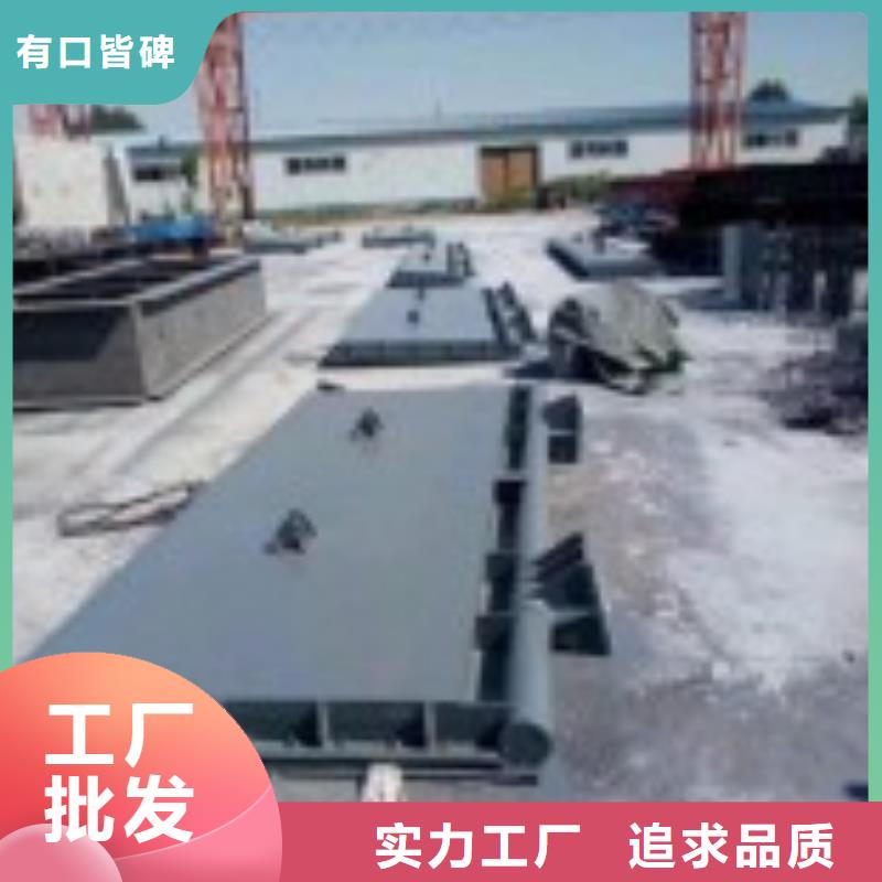  翻板闸门今年新款
