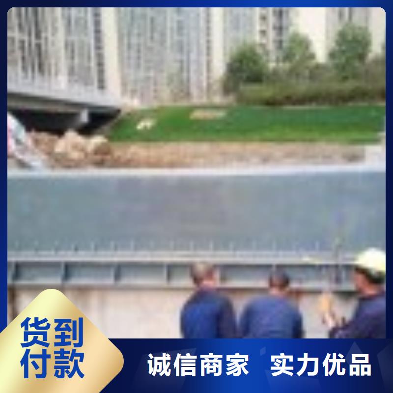 【翻板闸门】钢制拍门厂家精工打造