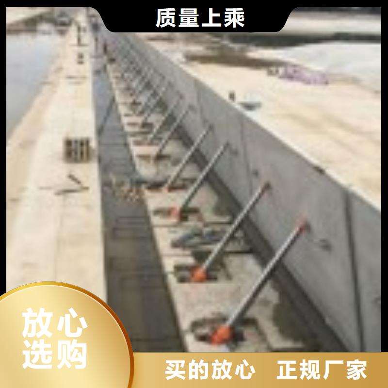 定輪鋼閘門全國發貨