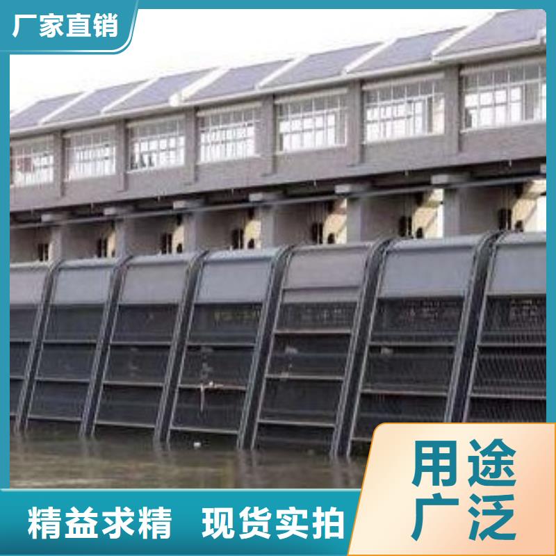【清污機(jī)鑄鐵拍門(mén)實(shí)力工廠】