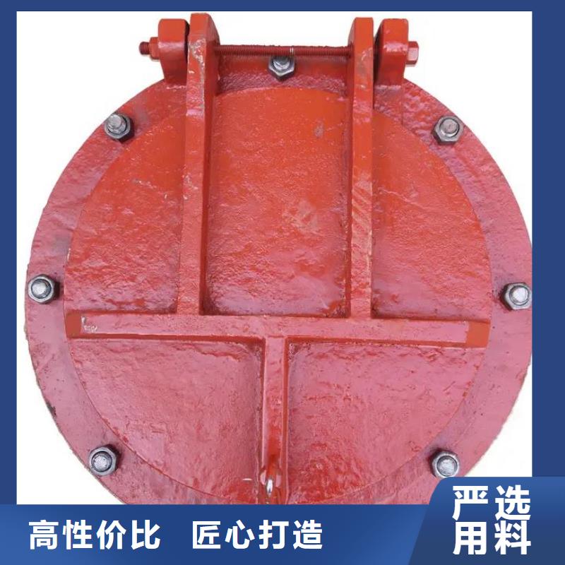 拍门,暗杆式启闭机厂家直销省心省钱