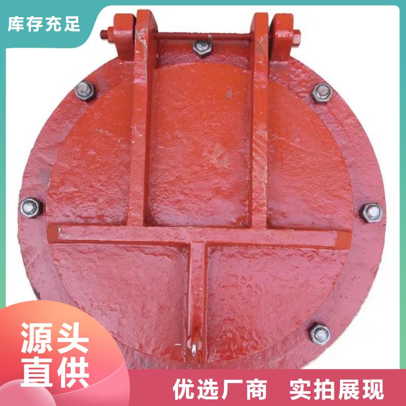 拍门 启闭机闸门现货批发