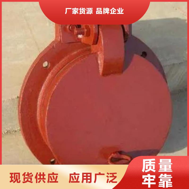 【拍門泵站清污機按需定做】