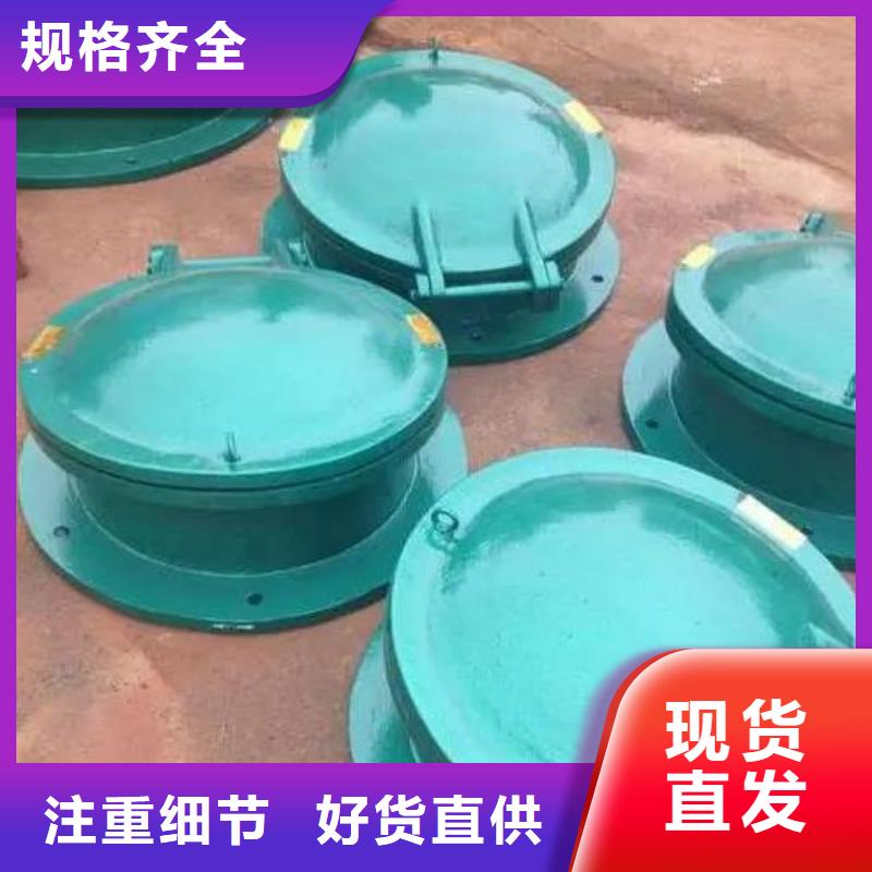 拍門鑄鐵閘門支持拿樣