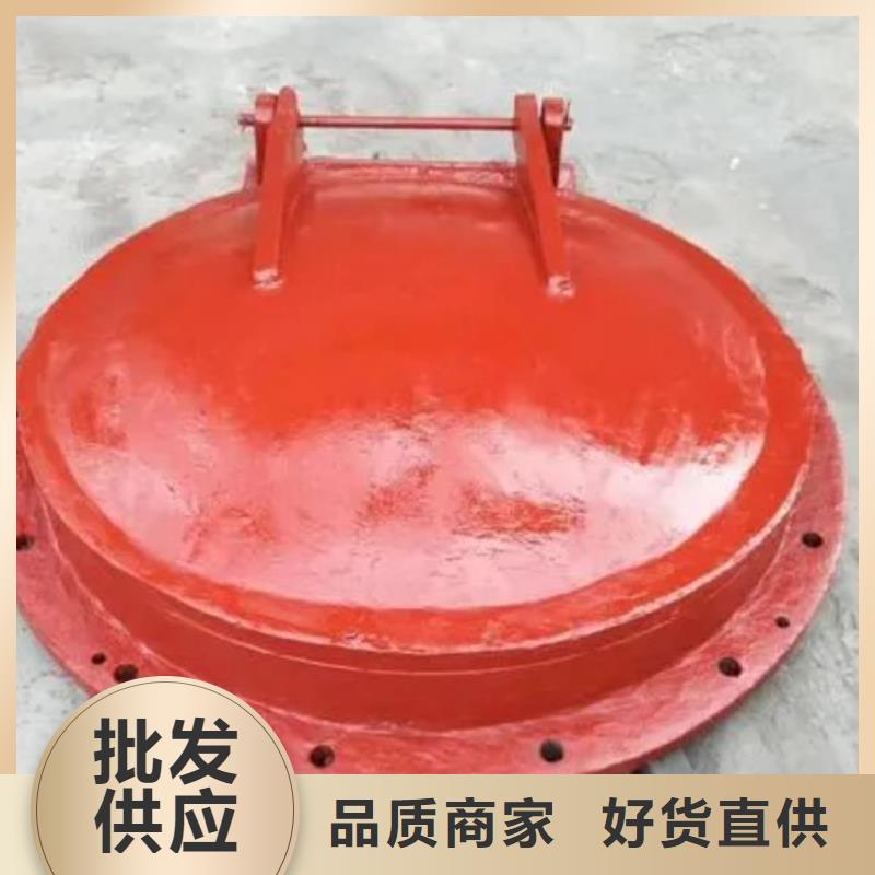 拍门,钢制拍门厂家实体厂家支持定制