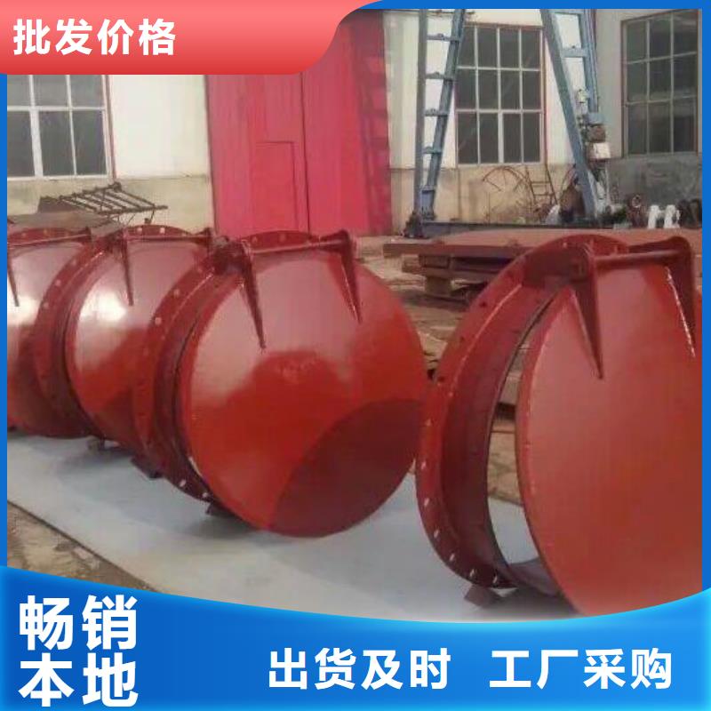 拍门,【球墨铸铁闸门厂家】支持大小批量采购