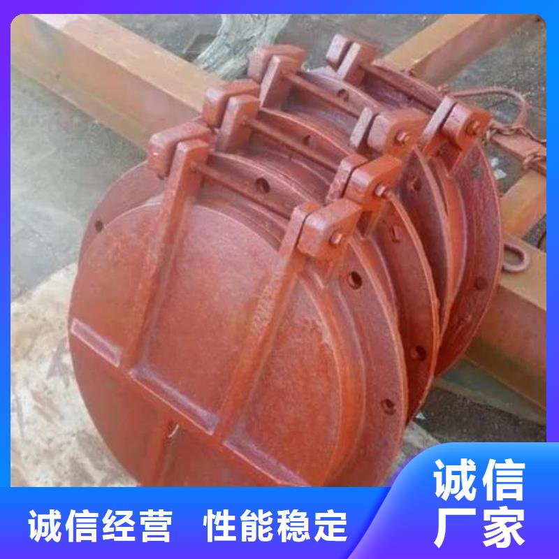 拍門 【扇形閘門】您身邊的廠家