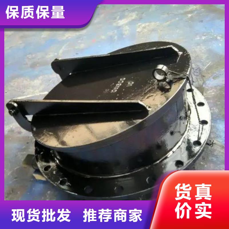 廣澳街道DN500鑄鐵拍門型號全