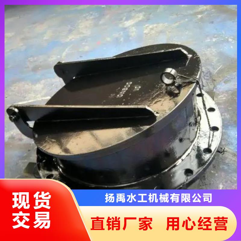 拍門攔污柵工廠現(xiàn)貨供應(yīng)