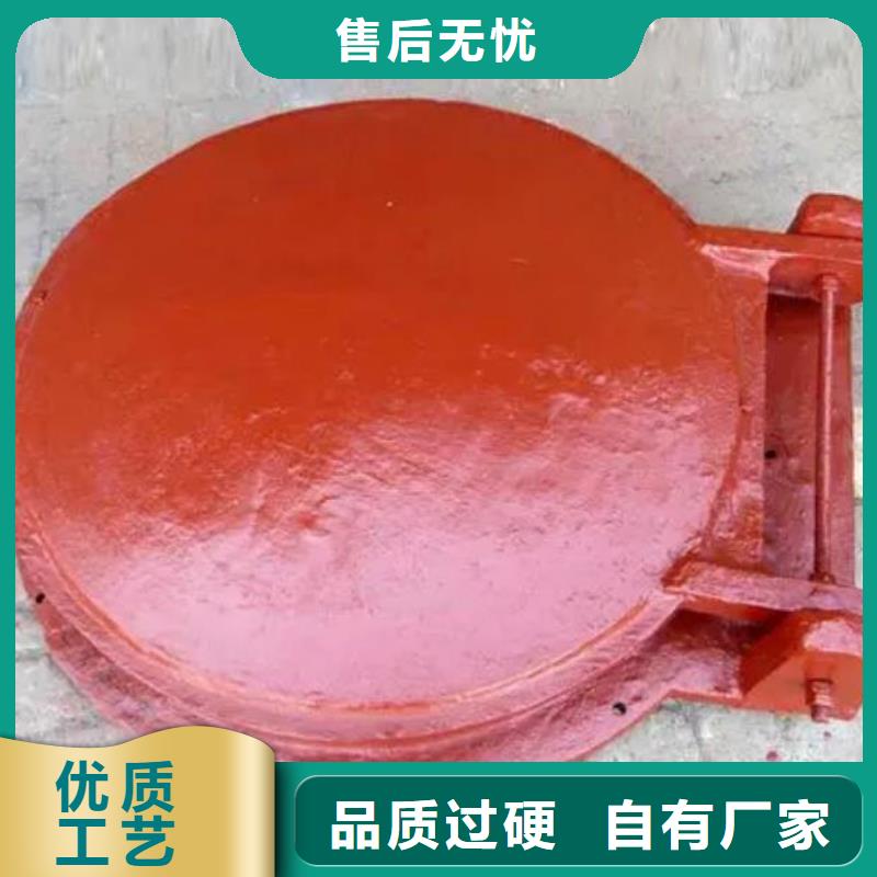 拍門-電動裝置啟閉機現貨快速采購