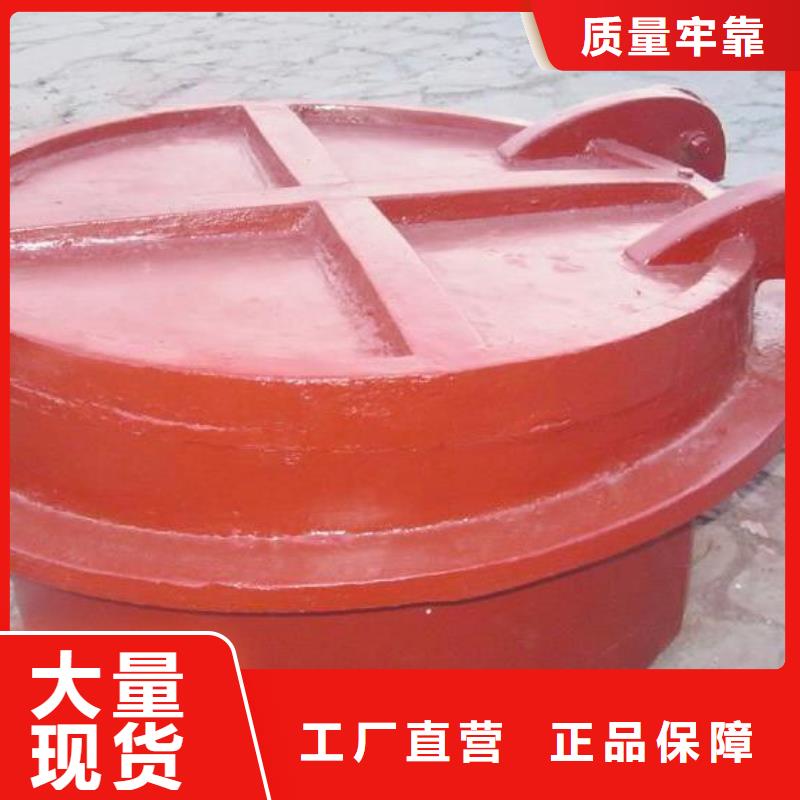  拍门厂家实力雄厚