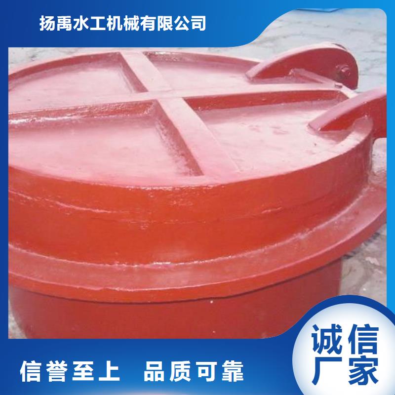 【拍门钢制闸门技术先进】