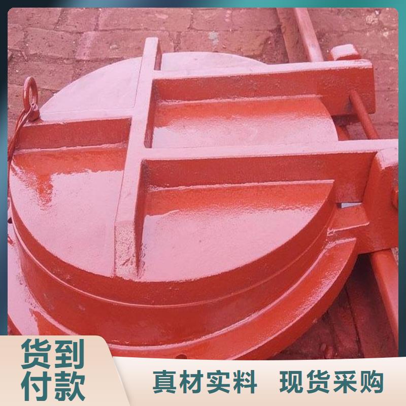 拍门 钢制闸门货到付款