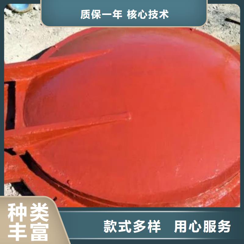 拍门_卷扬启闭机厂家全品类现货