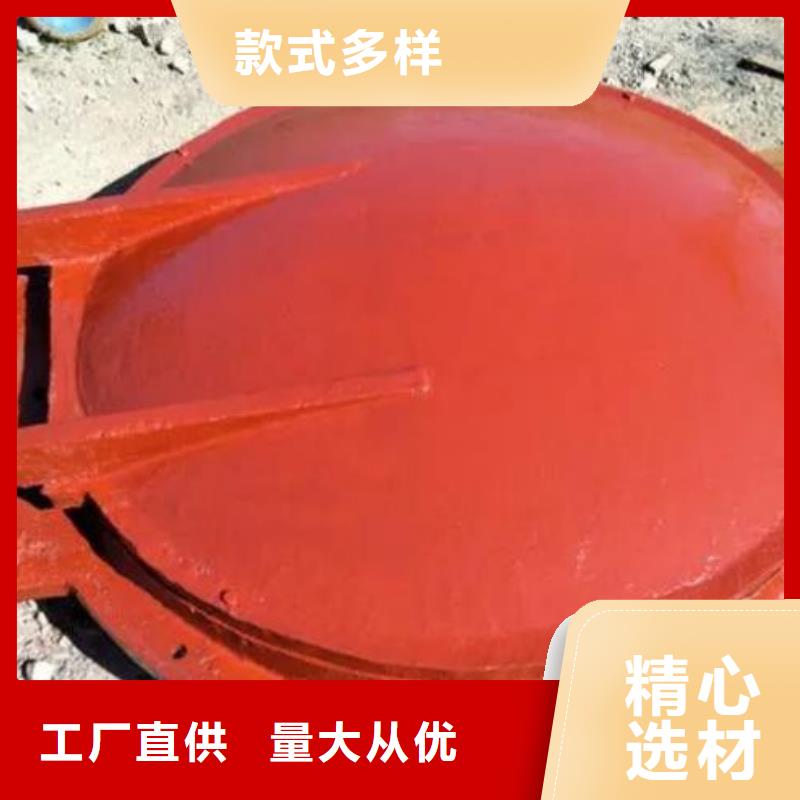 拍門球墨鑄鐵閘門專業按需定制