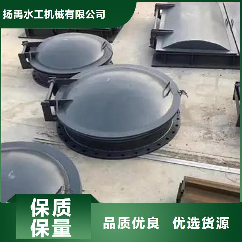 拍門,機(jī)閘一體式閘門實(shí)力公司
