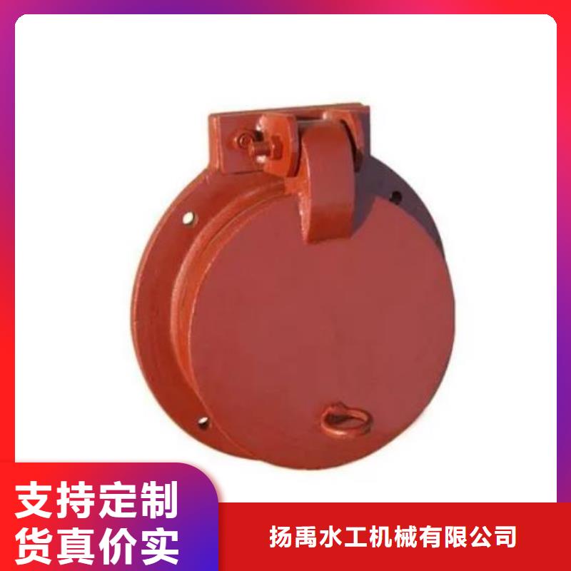 【拍门钢制闸门技术先进】