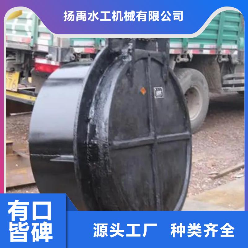 拍門(mén)【卷?yè)P(yáng)啟閉機(jī)廠家】多種工藝