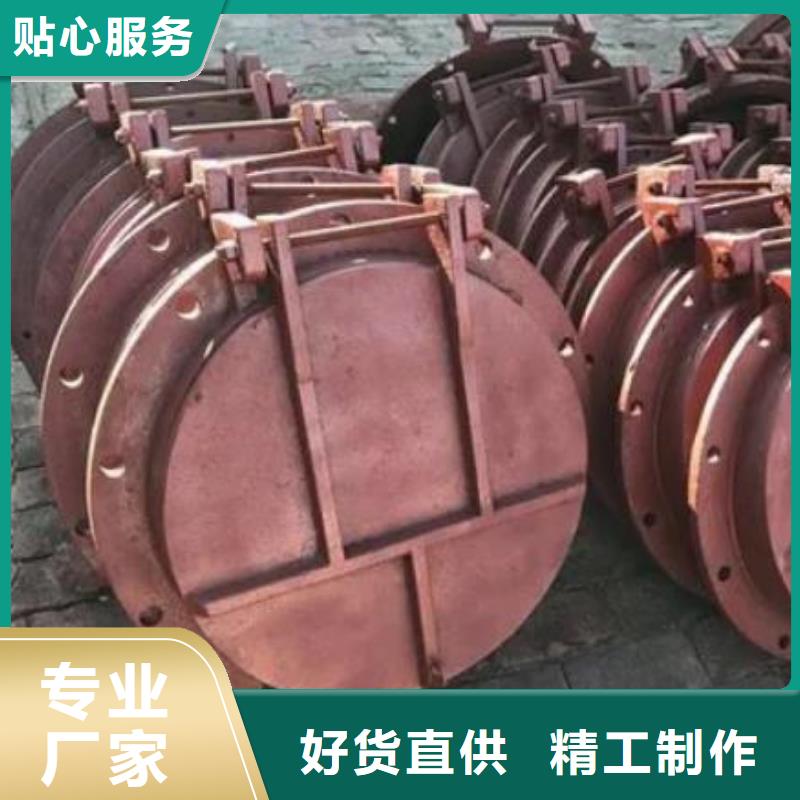 拍門 【扇形閘門】您身邊的廠家