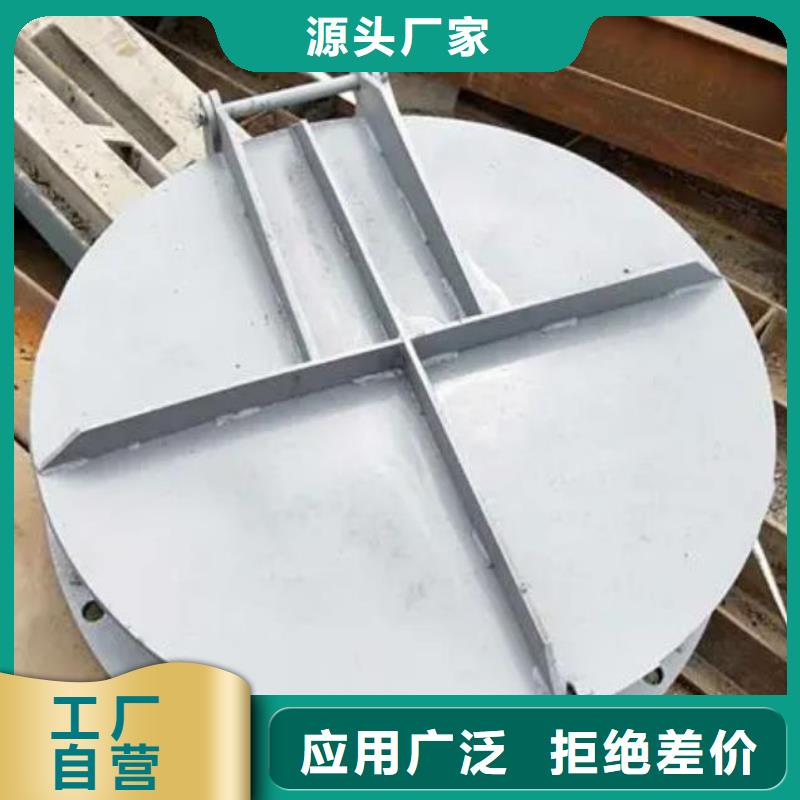 【拍门】球墨铸铁闸门实力大厂家