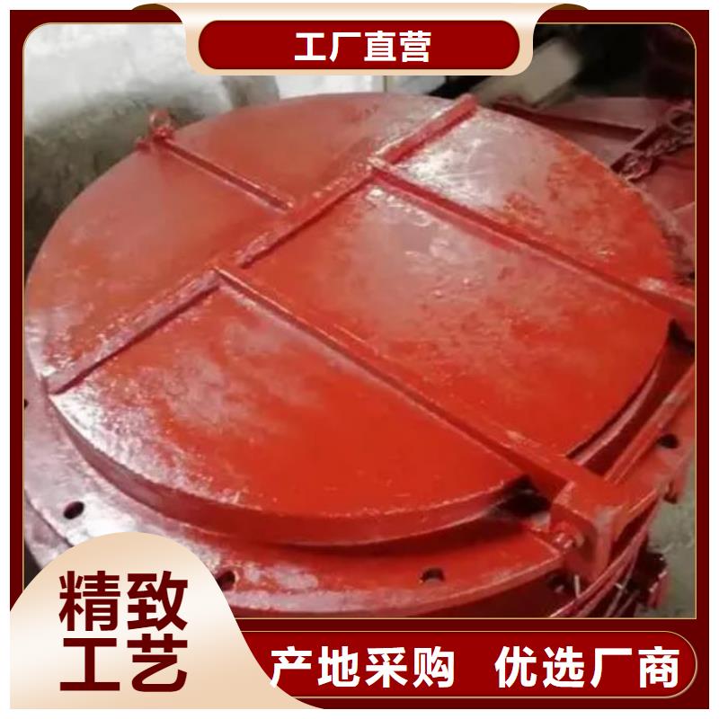 【拍門】-鋼制拍門廠家真實拍攝品質可靠