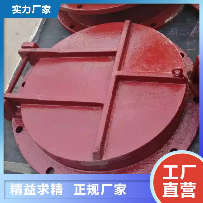 拍门,铸铁闸门货源足质量好