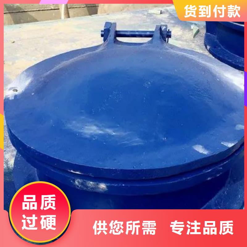 拍门手摇卷扬启闭机每一处都是匠心制作