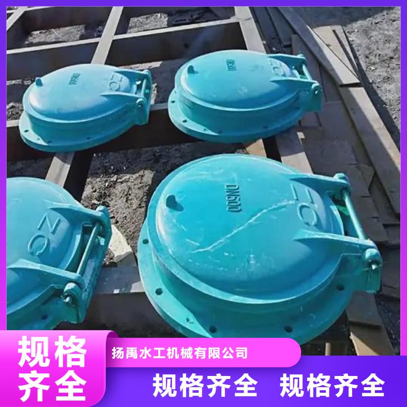 【拍门】球墨铸铁闸门实力大厂家