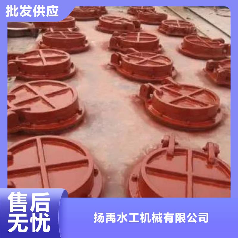 铸铁拍门视频-铸铁拍门_河南省濮阳市市场覆盖清丰|南乐|漯河|商丘|新乡|驻马店|焦作等