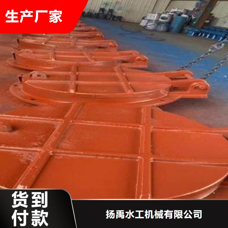 拍門鑄鐵閘門優(yōu)質貨源
