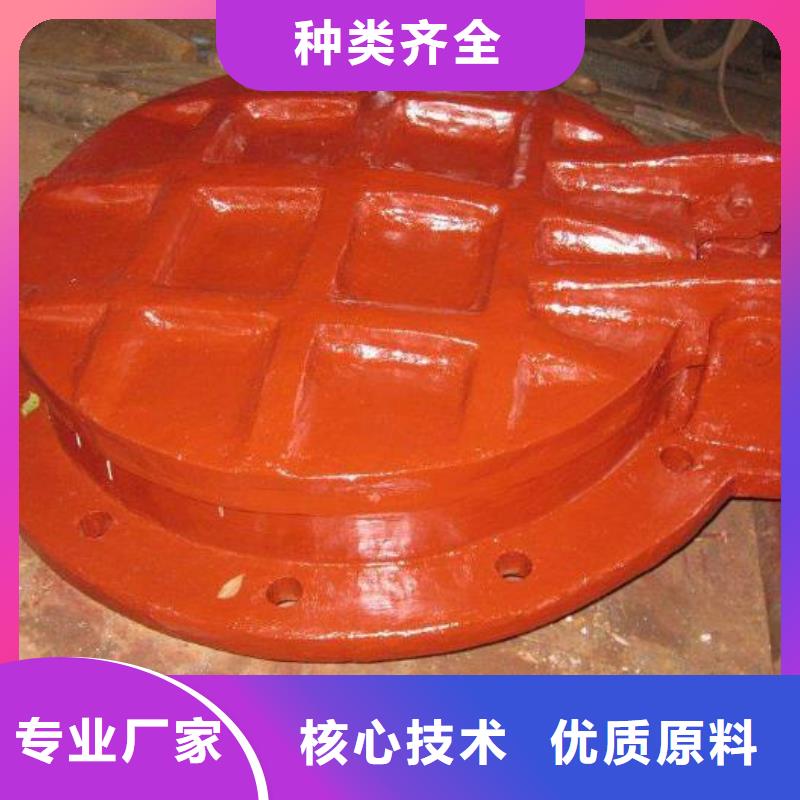 拍门工程施工案例