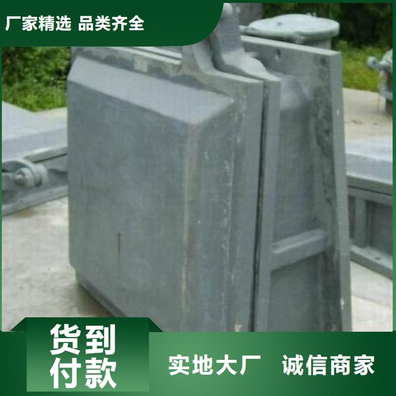 拍门钢制拍门厂家源厂直接供货