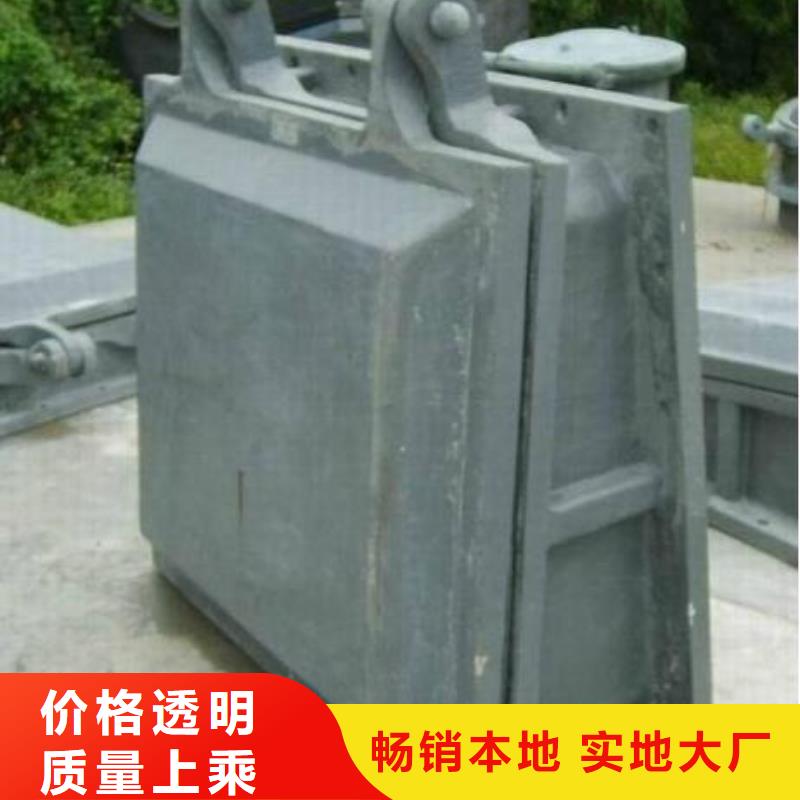 【拍门】球墨铸铁闸门实力大厂家