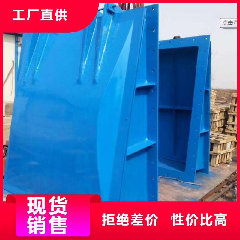 拍门 钢制闸门货到付款