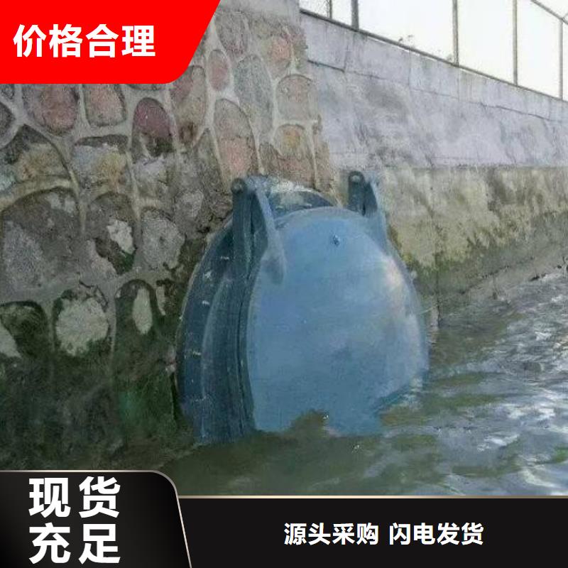 拍門(mén)卷?yè)P(yáng)啟閉機(jī)廠家為您精心挑選