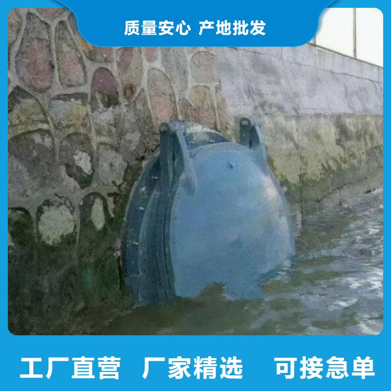 大田DN300鑄鐵拍門靠譜廠家