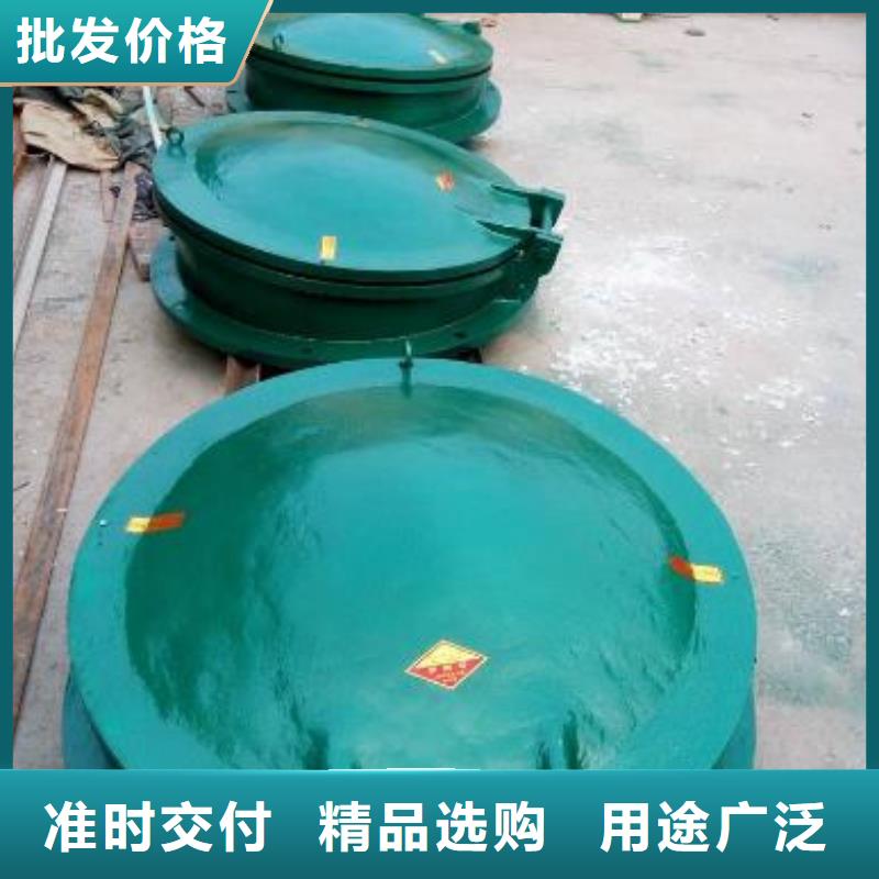 【拍门】,卷扬启闭机厂家生产型