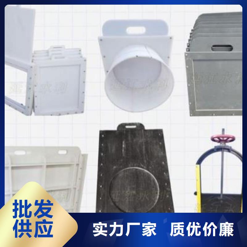 塑料闸门匠心品质