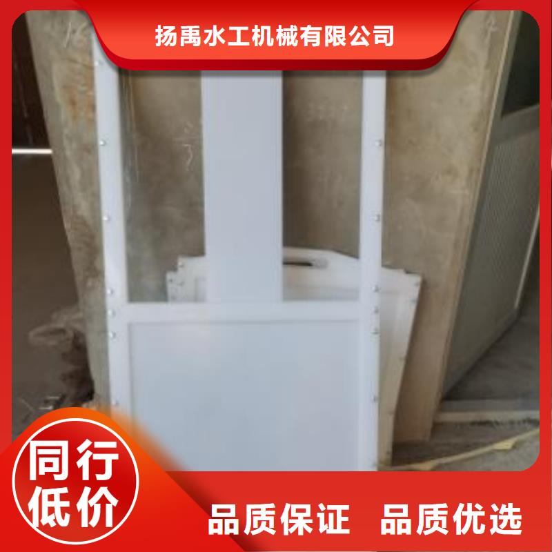 塑料闸门,拍门品质保证实力见证