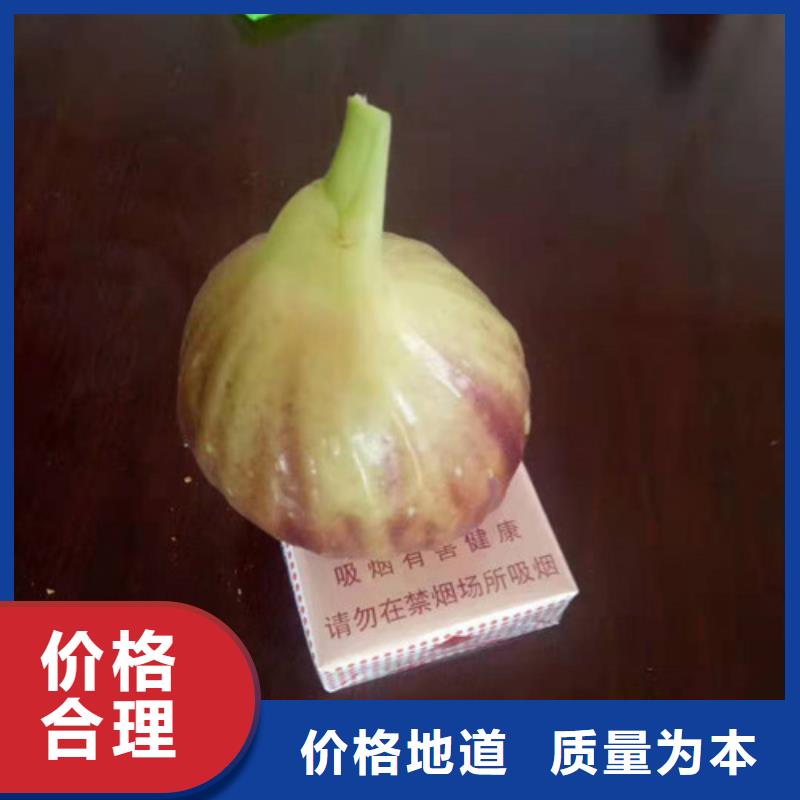 无花果_花椒苗客户好评