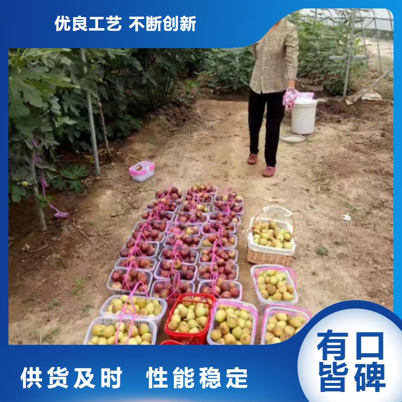 无花果大金星山楂苗免费回电