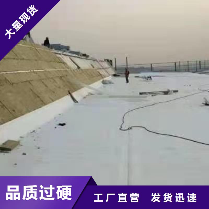 PVCPVC防水卷材大量現貨
