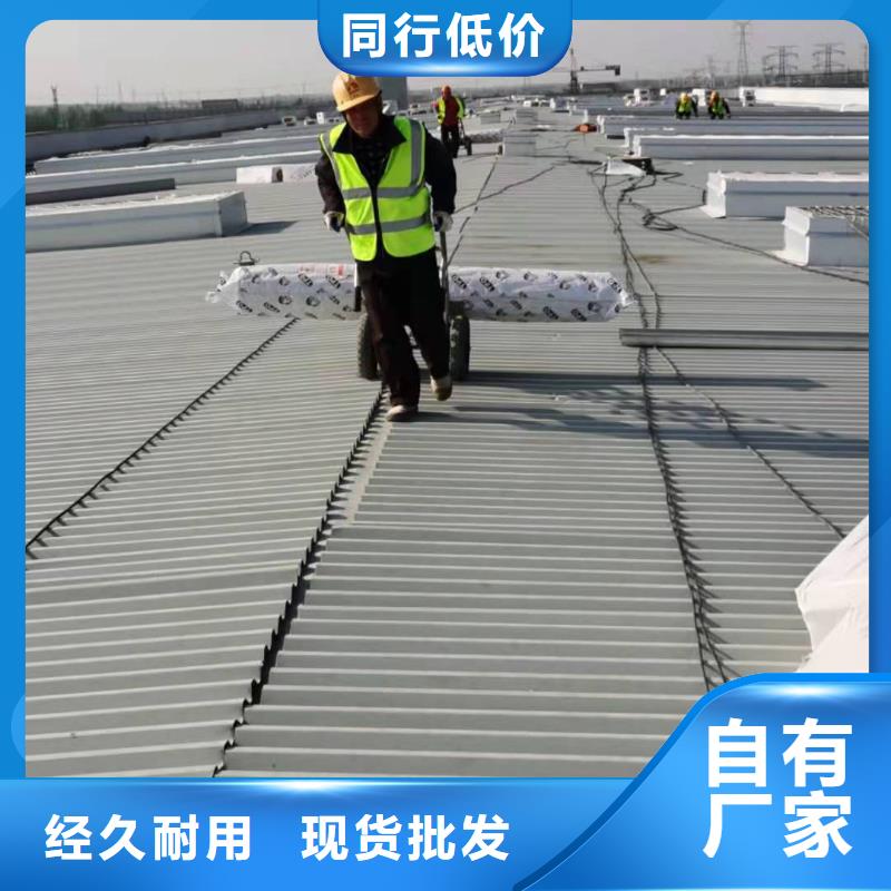 PVC,PVC防水卷材源廠定制