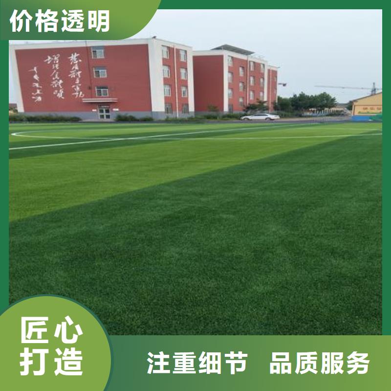：人造草坪門球場供應商