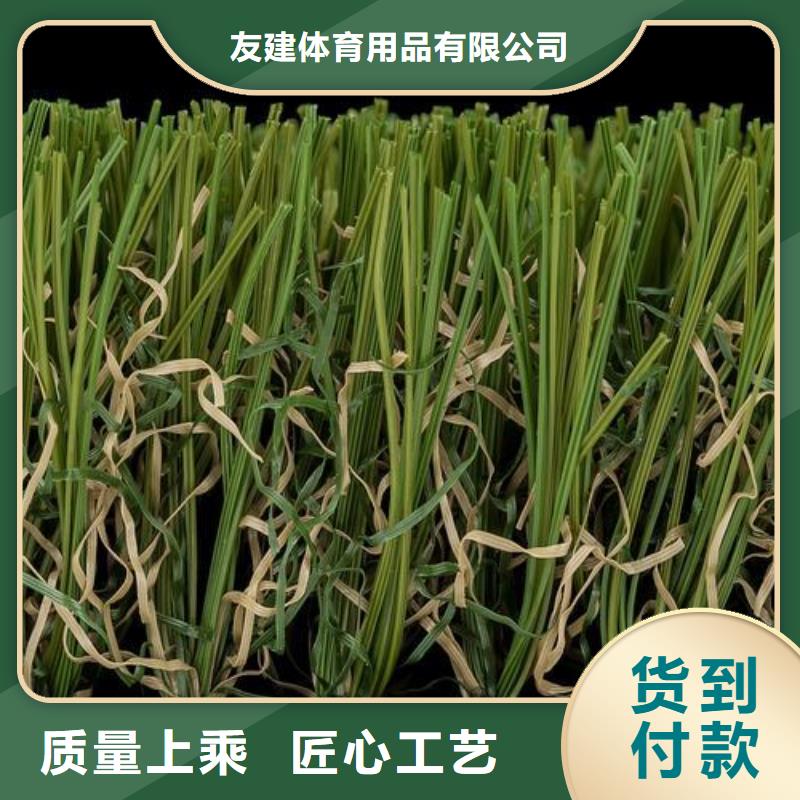 定制全國人造草坪廠家