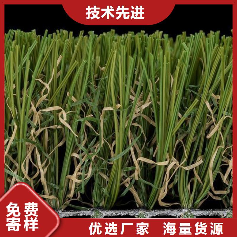 【塑膠跑道_室外運動場地實力見證】