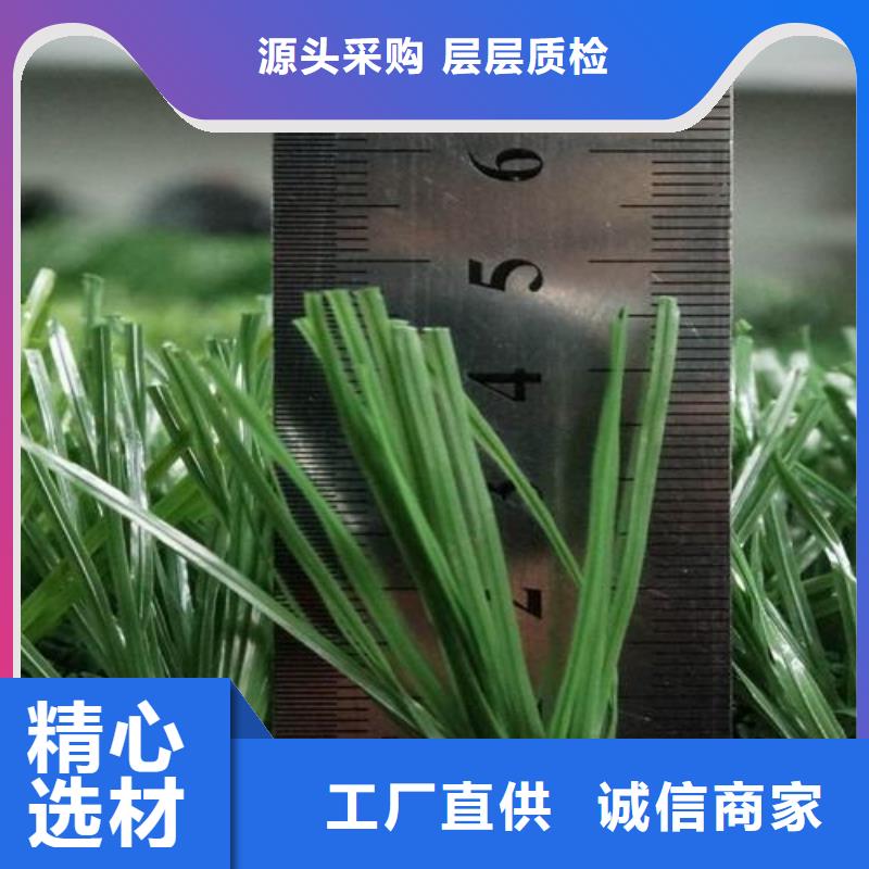 塑胶跑道硅PU球场施工可定制