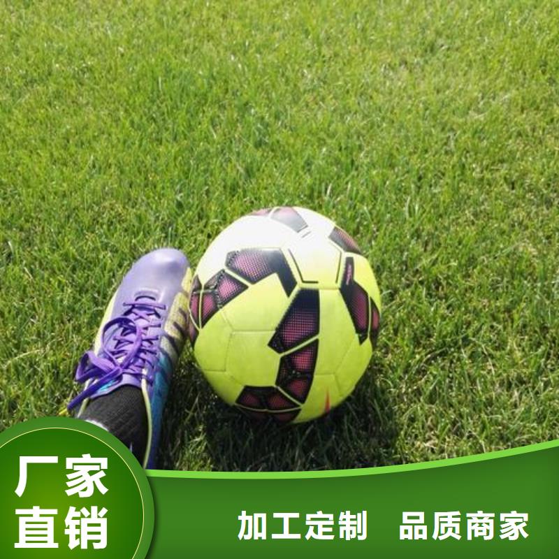質(zhì)量好的學(xué)校塑膠跑道PVC地板球場(chǎng)廠家廠家批發(fā)